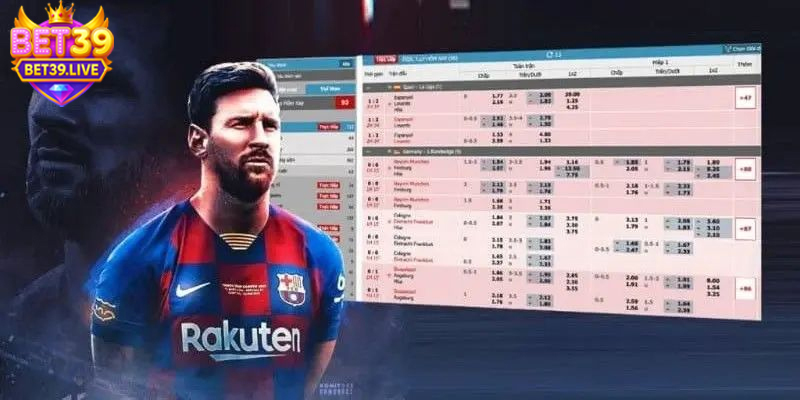 Tư vấn chi tiết khi liên hệ đội ngũ hỗ trợ